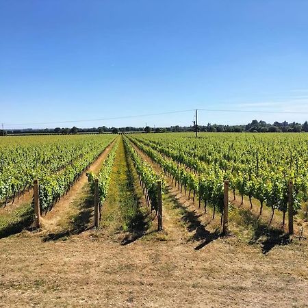Cosy Cottage With Vineyard View Near Goodwood 치체스터 외부 사진