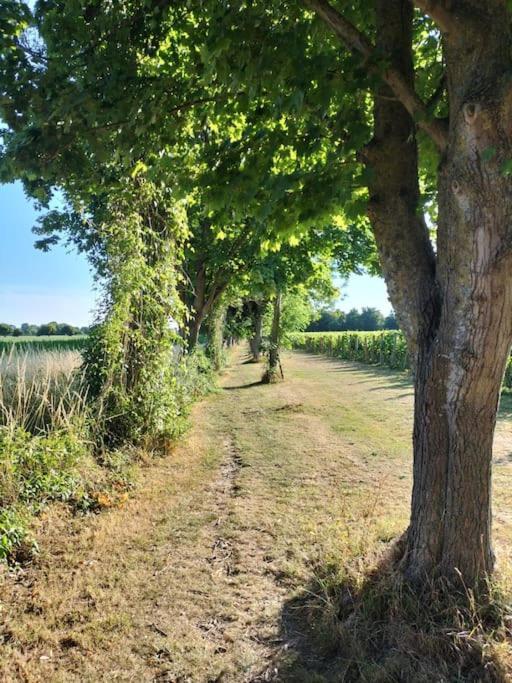 Cosy Cottage With Vineyard View Near Goodwood 치체스터 외부 사진